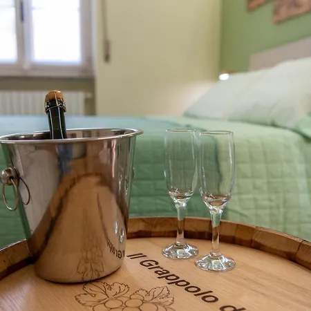 Il Grappolo D'Oro - Accogliente Appartamento Vicino Al Centro * Tortona