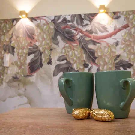 Apartament Il Grappolo D'oro - In Centro Tortona